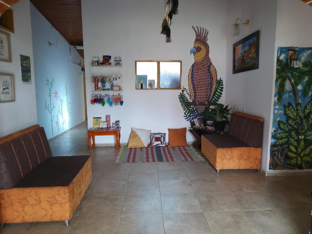 Apartament Artesanos Y Turistas Guatapé Zewnętrze zdjęcie